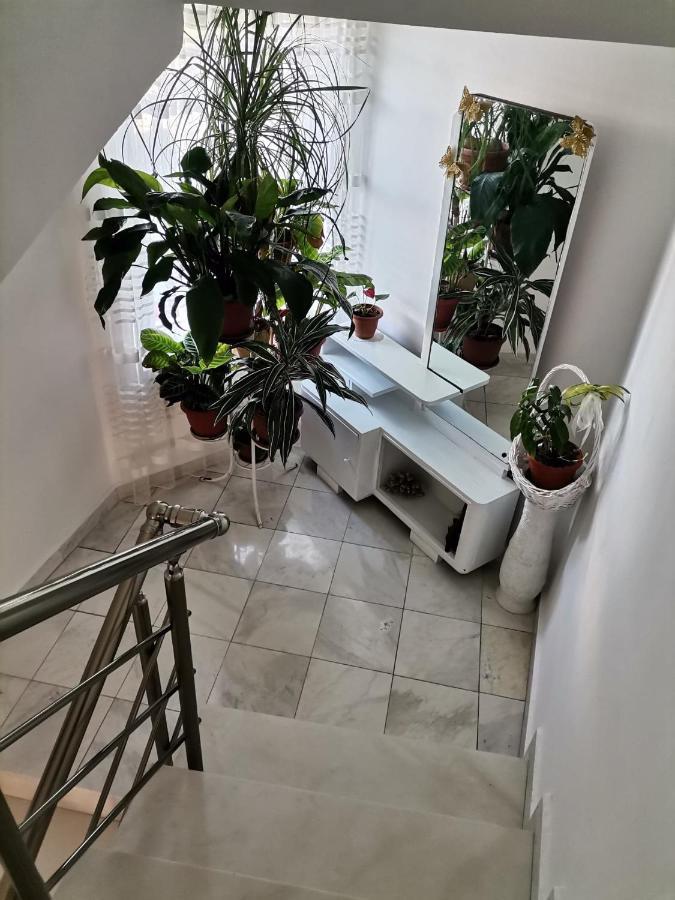 Guest House Konomaevi Süzebolu Dış mekan fotoğraf