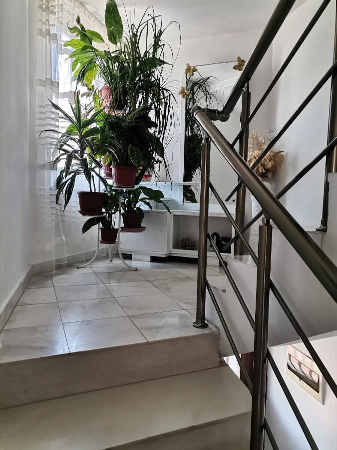 Guest House Konomaevi Süzebolu Dış mekan fotoğraf